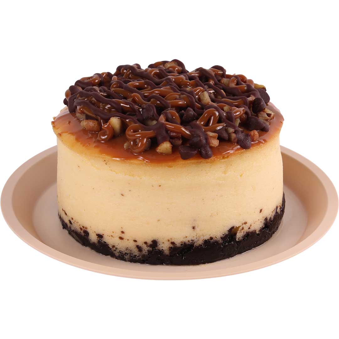 lety-cachito-tortuga-image-number-0